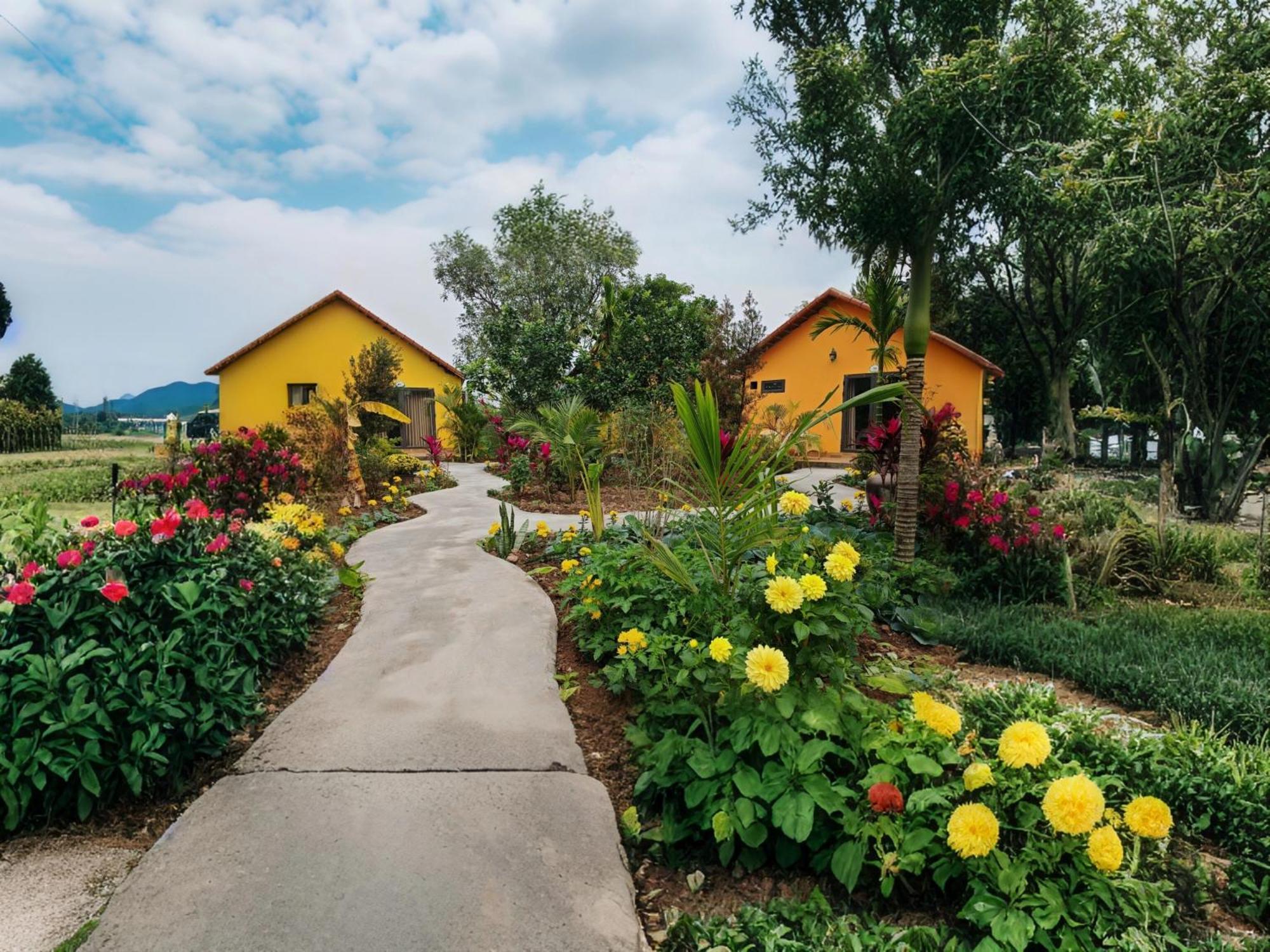 Ninh Binh Peaceful Retreat Villa Exterior foto