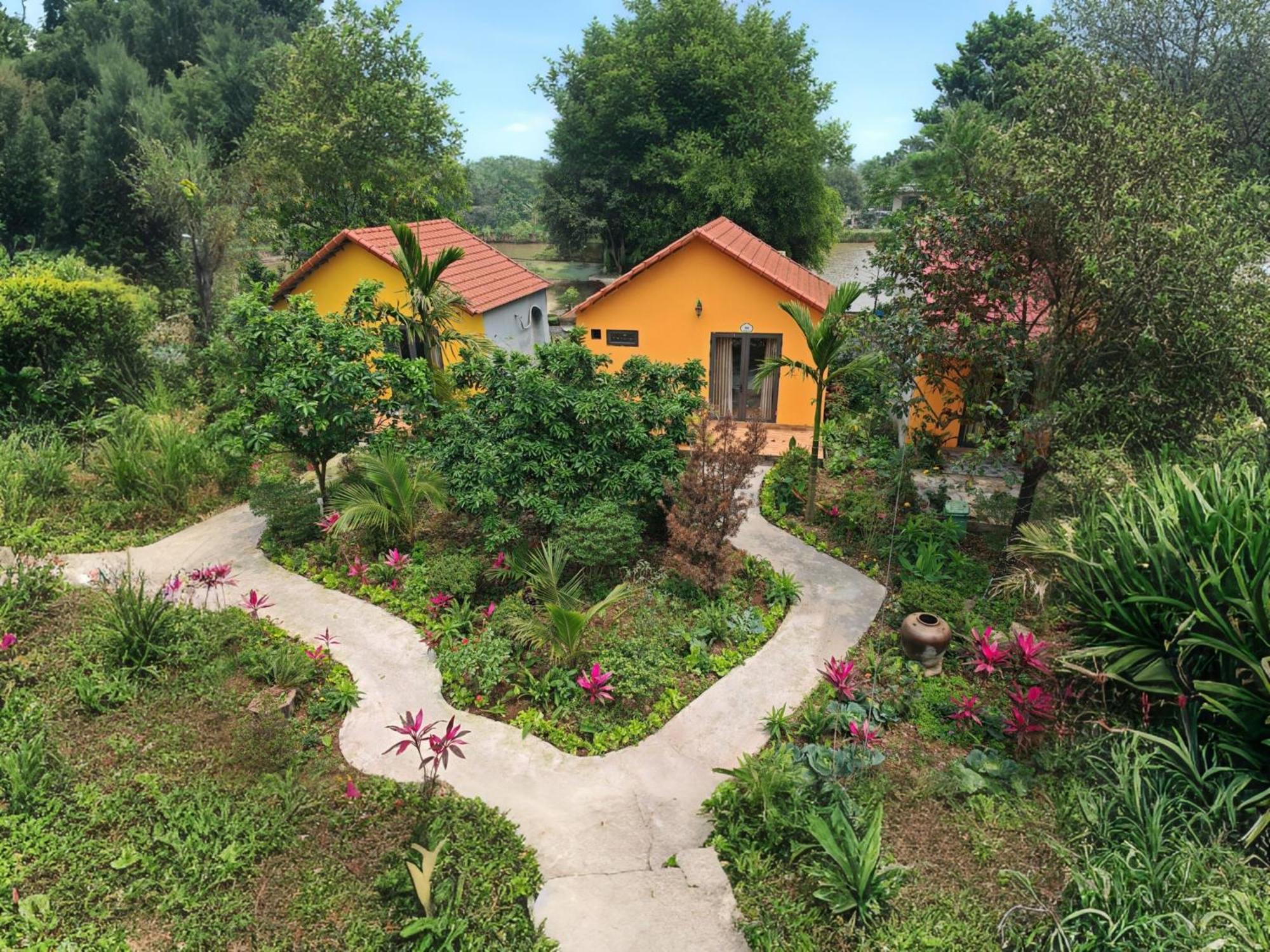 Ninh Binh Peaceful Retreat Villa Exterior foto